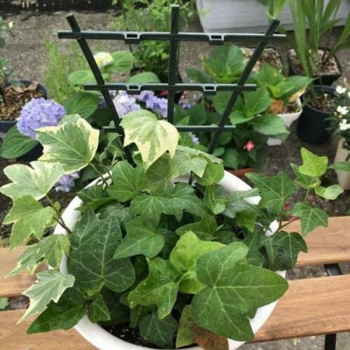 Can Be Freely Combined Garden Plant Vine Frame Climbing Vine Bracket Flower Stand Plant Support & Care Plant Cages & Supports