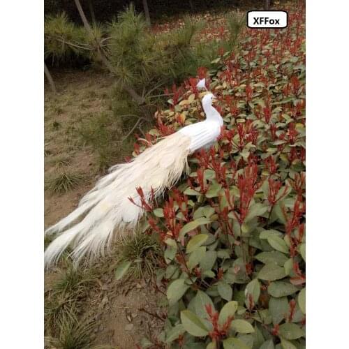Lovely real life peacock model foam&feather white beautiful peacock bird gift about 100cm XD0066