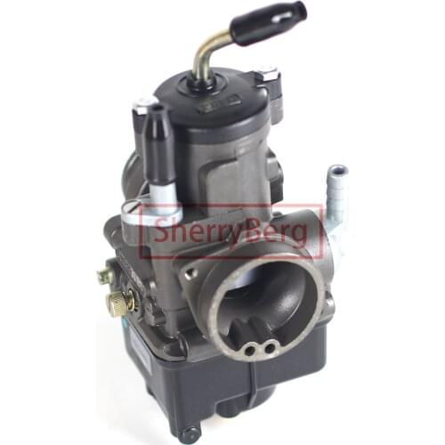 SherryBerg Carb Carburettor Carburador Replace for Dellorto Carburetor PHBH 30 BS 30mm with Choke 2 & 4 Strokes for 125cc-300cc