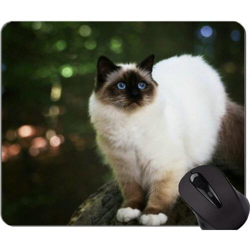 Gaming Mouse Pad Custom,Himalayan Cat animal defocused cat Home Office Computer Accessories Mousepads