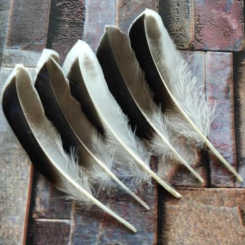 20pcs Beautiful Natural Duck Feathers 10-15 cm/4-6 inches DIY Jewelry Hat Craft Making Decoration Accessories