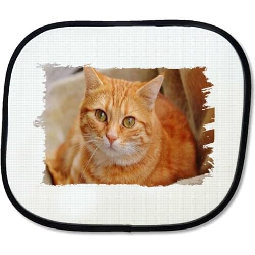 MERCHANDMANIA sun visor cat TABBY orange very MONO side windows car accessory flexible gift custom offer