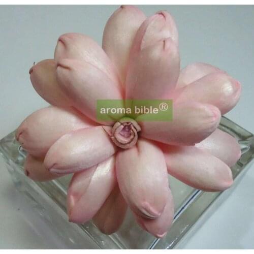 1000 pcs /lot Sola Flowers With Rope For Frangrance Diffuser Wholesale Price