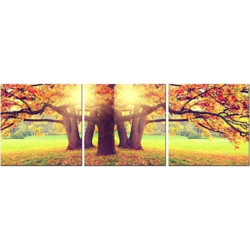 3 Piece Canvas Wall Art Autumn Morning Sunrise Tree Painting Picture Print Canvas poster Wall Picture For Living Room wall decor