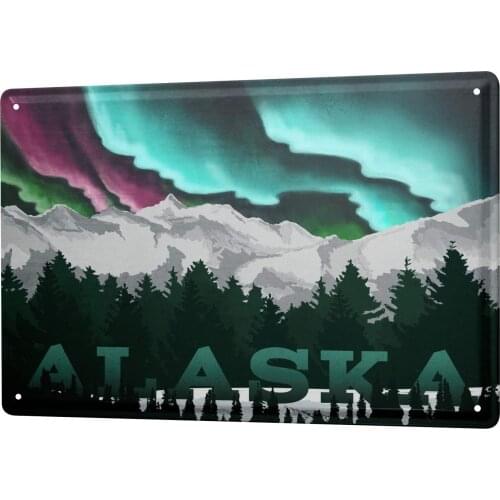 SINCE 2004 Tin Sign Metal Plate Decorative Sign Home Decor Plaques Holiday Travel Agency Alaska