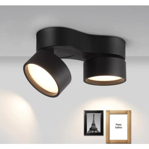 Open-mounted down light LED ceiling lamp free hole gallbladder lamp background wall lamp suction top double head astigmatism dow