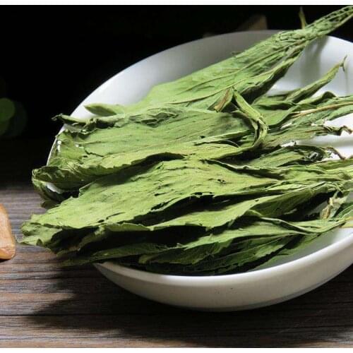 Fengxingtimely Products For The Holiday