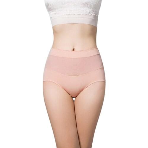 Sexy Transparent Women Panties Mesh Breathable Seamless Ladies Underwear Fashion Cozy Lingerie Womens Underpants