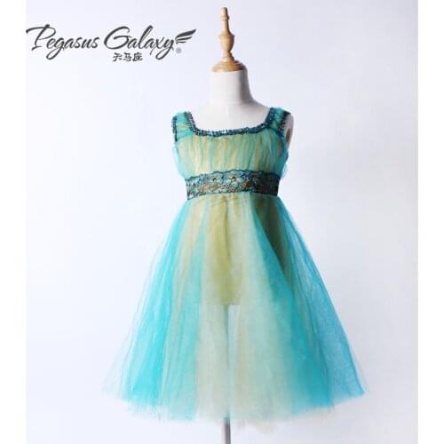 Professional Long Tutu Ballet Dress Children Adult Ballerina Dance Costume Ballet Leotards Dress For Women Unitard Dancewear