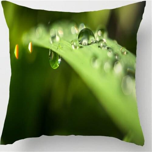 Luxury Printing Morimo Free Shipping Funny scenery green leaf drip Stylish Custom Zippered Square Pillow Cover Pillowcases
