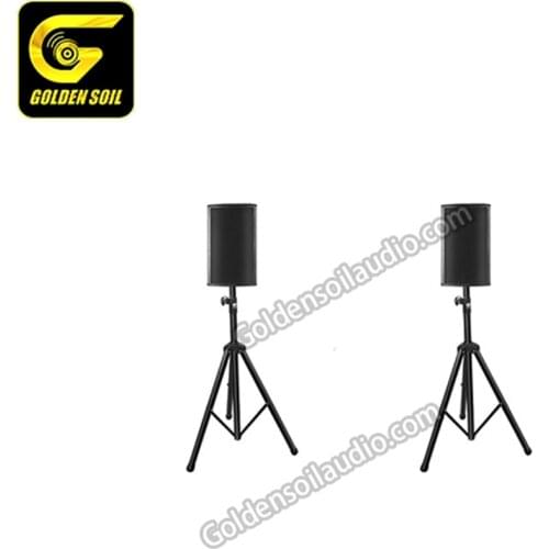 Goldensoil audio ES8 single 8 inch full range speaker mini full range speaker pa system