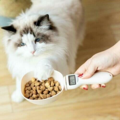 Pet Food Scale Cup Dog Cat Feeding Bowl Kitchen Scale Spoon Measuring Spoon Measuring Cup Portable Pet Supplies With LED Display