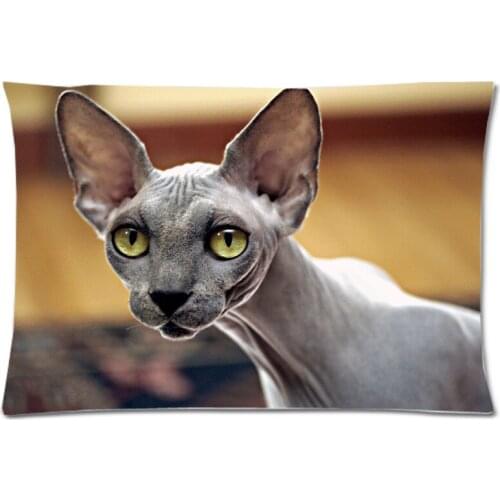 DIY Peach Skin Pillowcase, Sphynx Cat Tow Side Printed Pillow cover 20"x30" Rectangle Pillow case