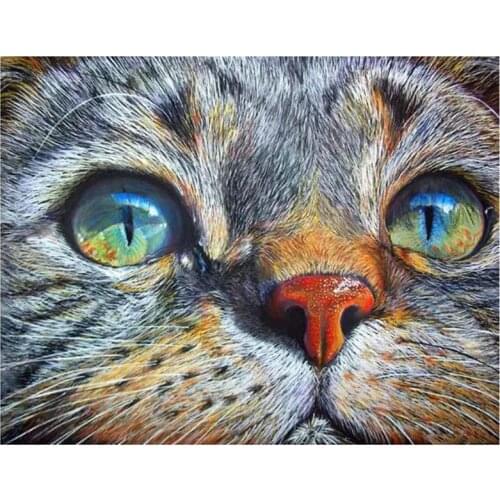 DIY 5D Round Square Cartoon Animal Cat Mosaic Embroidery Pattern Diamond Painting Embroidery Handmade Home Decoration FC553