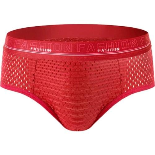 Mens Briefs Underpants Boy Mesh Panties Large Size Mens Interiors Breathable Addicted Underwear Male Bodysuit Trunks Pant New