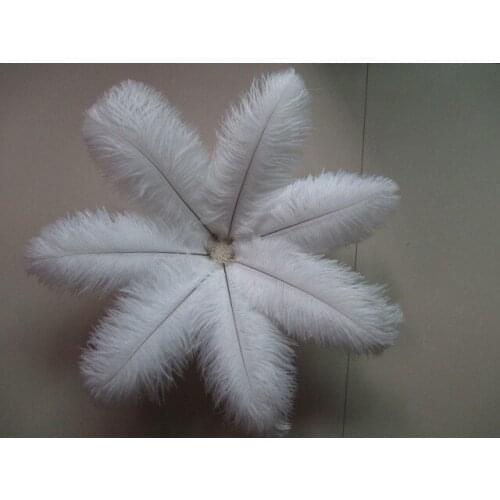 Beautiful White ostrich feather 100 pcs feather length 8-10 inches / 20-25 cm Wedding Decoration Free Shipping