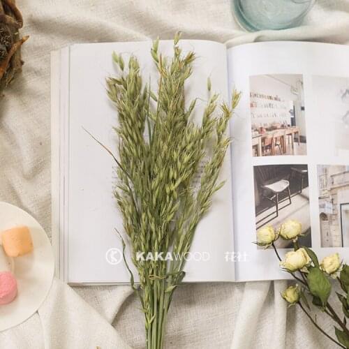 Northern European-Style Japanese-Style Natural Dried Flowers Real Flowers Oats Wheat Ear Home Flower