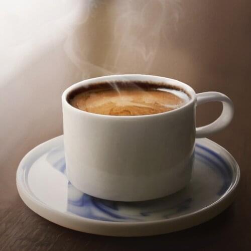 Japan style ceramic coffee mug with handgrip retro porcelain cups and mugs with tray ink painting handmade creative cup 220ml