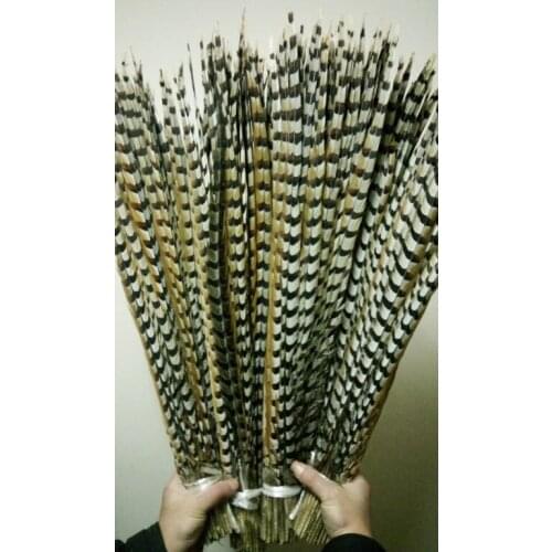 Wholesale perfect 10pcs Rare natural Reevess Pheasant feathers 28-32inch/70-80cm Decorative diy