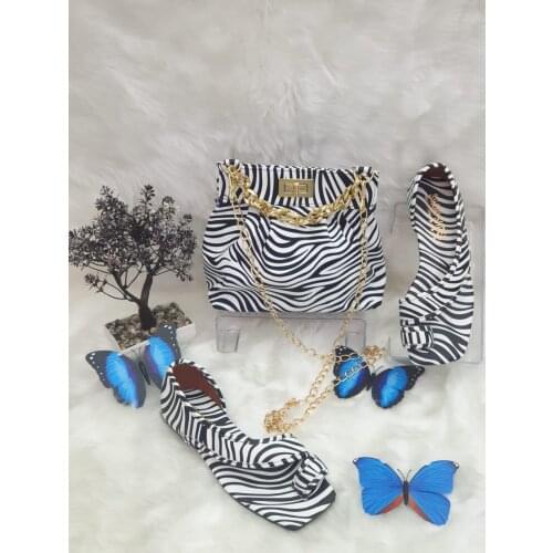 Womens Handbags and shoes set