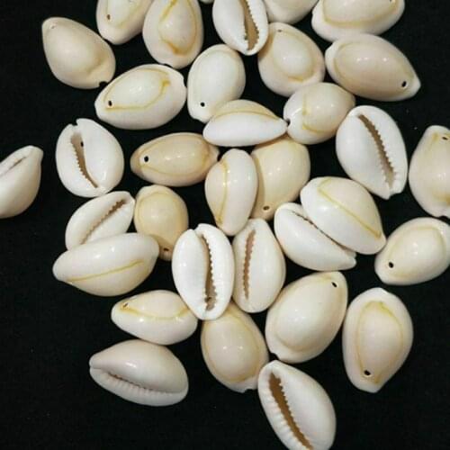 50pcs/bag Yellow White Natural Sea Shell DIY Loose Beads Accessories for Fish Tank Home Decoration Craft