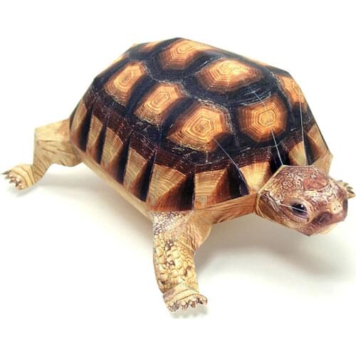 Angulate Bowsprit Tortoise Paper Model Realistic Animal Mini Cute Card 3D Papercraft DIY Kids Adult Handmade Craft Toys WE-051