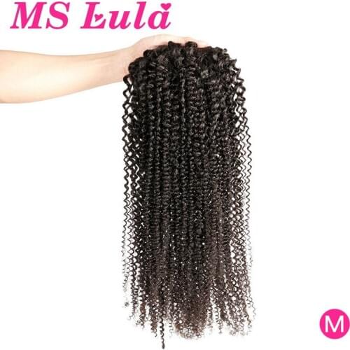 MS Lula False Tails