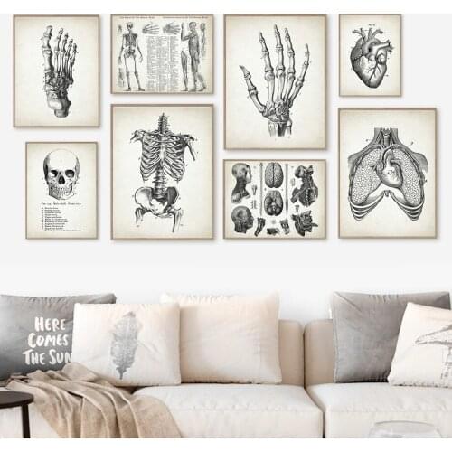 Anatomy Skeleton Foot Brain Heart Skull Vintage Art Canvas Painting Nordic Poster And Prints Wall Pictures Doctor Office Decor