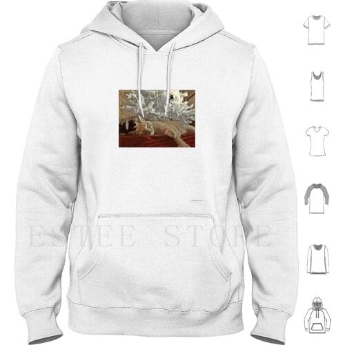Tired Of Waiting For Santa Hoodie Long Sleeve Christmas Cat Ginger Cat Light Cat Christmas Tree Christmas Cat Christmas Pet