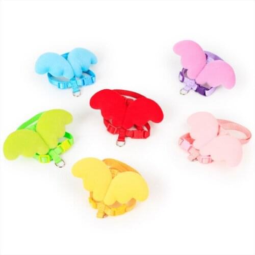 Cute Angel Pet Dog Leashes Collars Set Puppy Leads for Small Dogs Cats Designer Adjustable Dog Harness Pet Accessori Ropa Perro