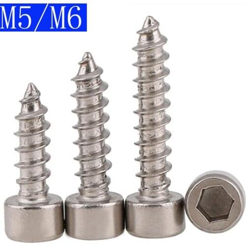 M5 M6 5mm 6mm 304 Stainless Steel Allen Hex Socket Cap Head Self Tapping Screws Self-tapping