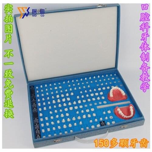 Cavity 151 pcs teeth dental prosthesis teeth model perative dentistry and prosthodontics tooth model