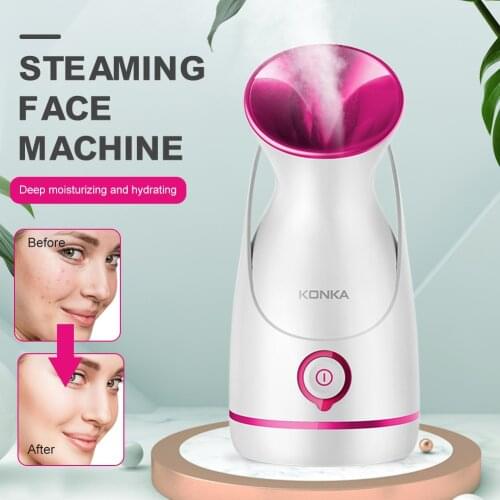 Facial Steamer Warm Mist Facial Deep Cleaning Moisturizing Sauna SPA Face Humidifier For Home GB Standard