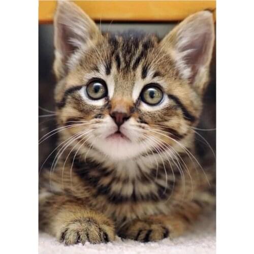 Puzzles sticker,Cute animals,cats diamond painting full square round crystal embroidery mosaic cross stitch patterns pet E1537