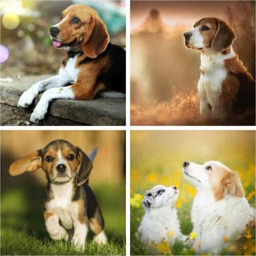 EverShine Diamond Mosaic Dog Picture Rhinestones Diamond Painting Full Square Animal Cross Stitch Wall Decor Handmade Hobby Gift