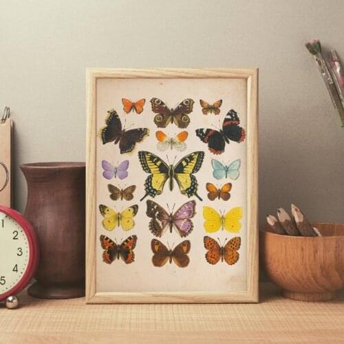Butterflies Vintage Poster And Print Insect Antique Illustration Wall Art Picture for Living Room Home Retro poster kraft paper