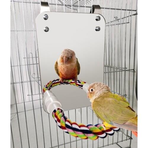 Bird Mirror with Perch Parrot Stand Toy, Package Includes All the Installing Accesories You Need
