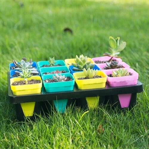 20pcs beautiful mini flower pot succulent flower pot tray plastic seedling pot color random delivery
