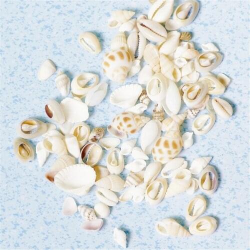 Декоративные ракушки Haodeba China At AliExpress