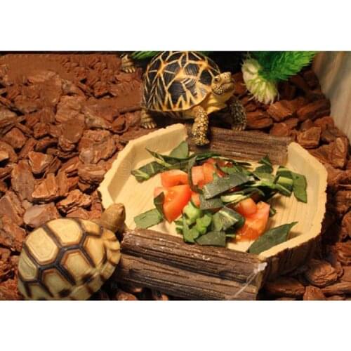 Food Water Dish Bowl Feeder Tray Terrarium Decor for Reptile Tortoise Turtle Snake 16x15x2.5cm