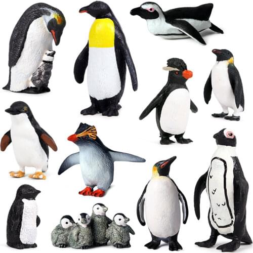 Plastic Realistic Wildlife Antarctica Animal Penguin Figurines Model,Action Toy Figure Collectible Doll Figure For Children Gift