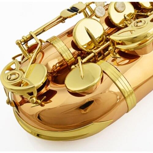 Tenor Saxophone Shine Brass Electrophoresis Child Adult Gold Sachs