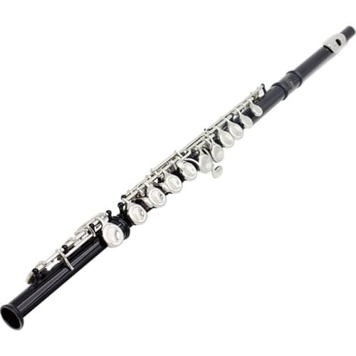 Portable Closed 16 Holes C Tone Flute W/ Gig Box Screwdriver Cloth Black