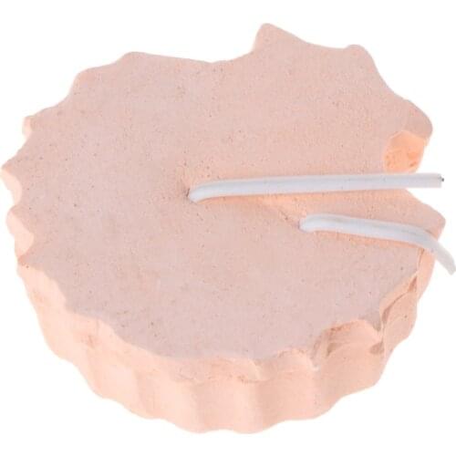 2021 New Parrot Hamster Teeth Grinding Toys Birds Squirrel Calcium Stone Shell Shape Chew