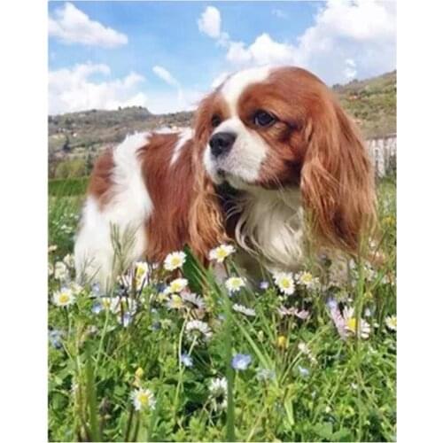 Diy Square Round Drill Diamond Painting Cross Stitch Cavalier King Charles Spaniel Diamond Embroidery Animal Wall Sticker