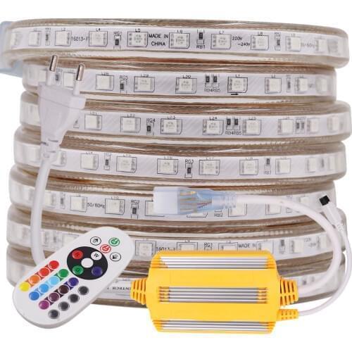 Waterproof RGB 5050 LED Strip Light 220V 24key Remote High Brightneer 60LED/M Rope Lamp Flexible LED Tape Outdoor Decoration