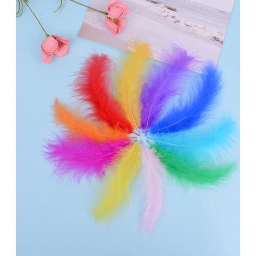 50pcs/set Turkey Feathers 10-15cm Chicken Plumes For Carnival Diy Craft Decor