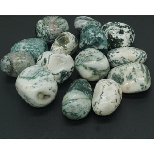 Natural Tree Agate Tumbled Stone Gemstone Rock Mineral Crystal Healing Chakra Meditation Feng Shui Decor Collection