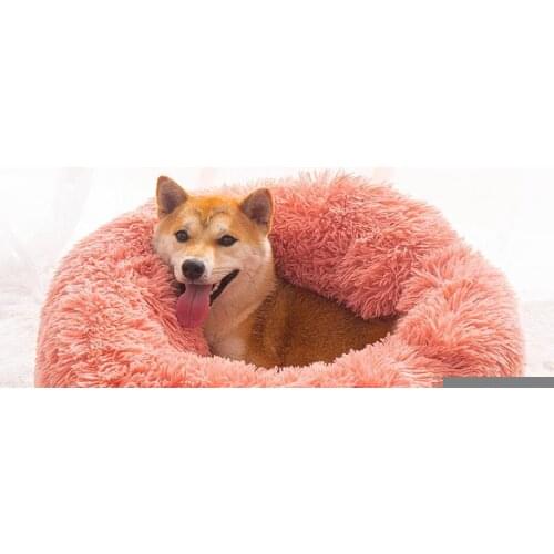 SLLINK Clothes And Footwear For Dogs