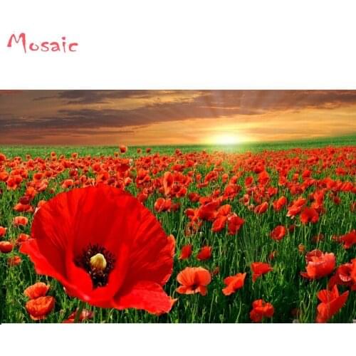 5D DIY Diamond embroidery mosaic home decoration sunset Landscape flower red poppy diamond painting Cross Stitch Rhinestone gift